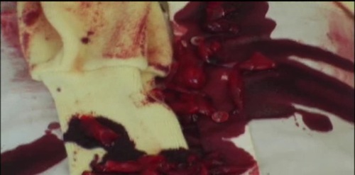 bloodzvswolvez-1.jpg