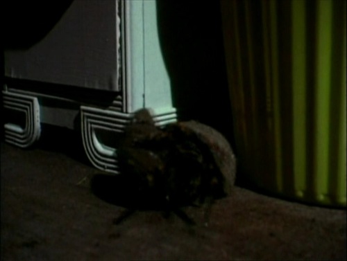 thegiantspiderinvasion-4.jpg