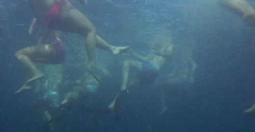 jaws-6.jpg