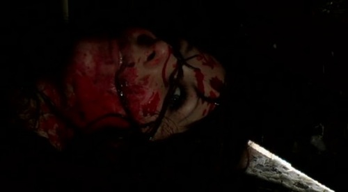 plasterhead-1.jpg