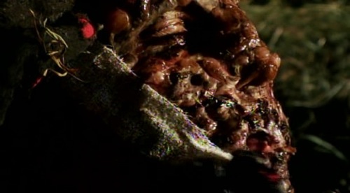 plasterhead-2.jpg
