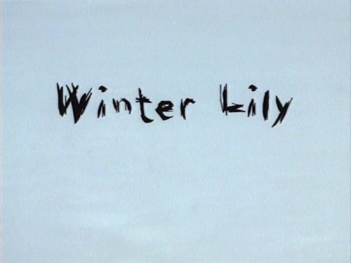 winterlilly-3.jpg