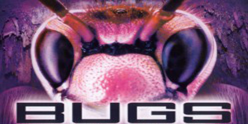 bugs2003.jpg