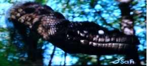 anaconda4