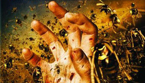 swarmed2005