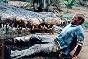 70crocodile