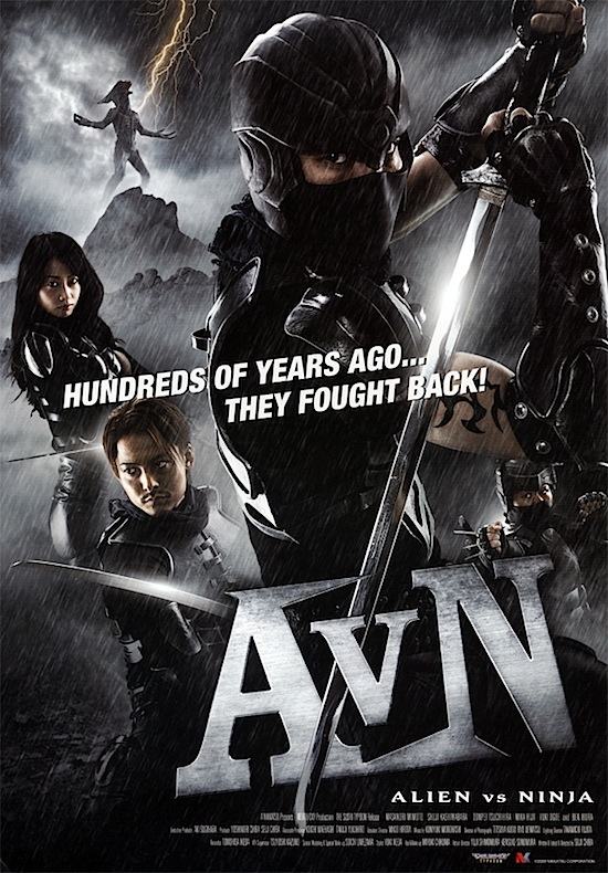avn.jpg