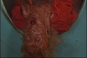 my bloody valentine.jpg