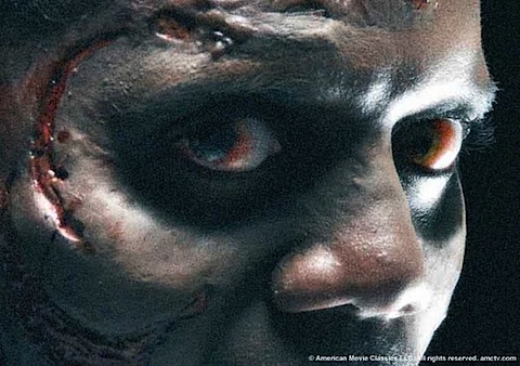 walking-dead-2.jpg