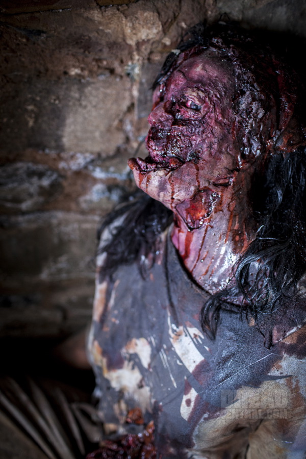 wolfcreek2c8x