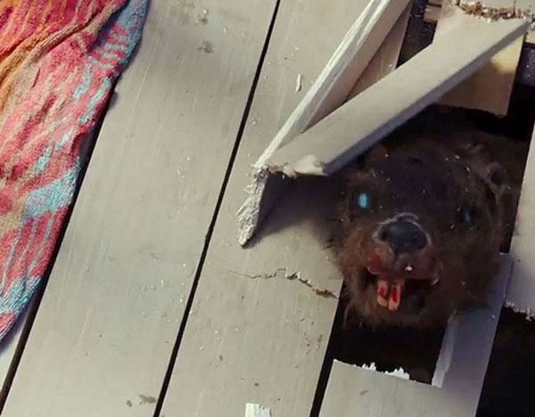 zombeavers-new-1