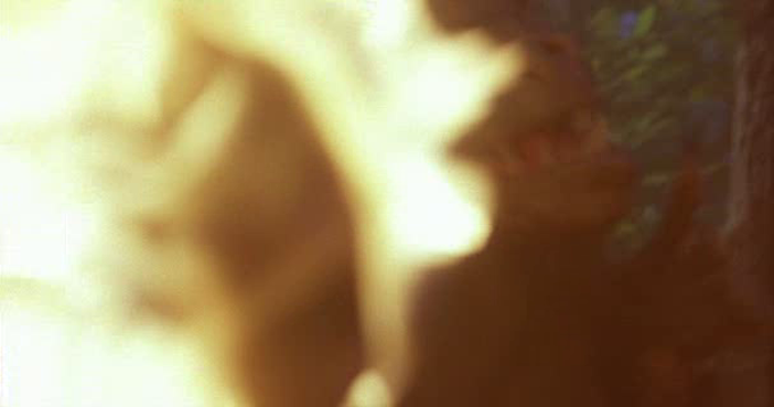 vlcsnap-2014-10-18-09h00m45s35