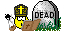 dead :pomast: